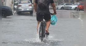 As ações práticas previstas incluem restauração de áreas úmidas, criação de corredores verdes urbanos e instalação de sistemas de drenagem sustentável.