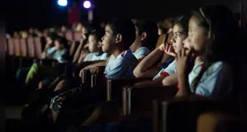 A regulamentação estabelece que os cinemas devem exibir filmes nacionais por um período mínimo de dias durante o ano.