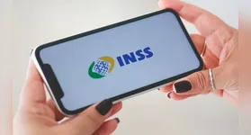 A Operação Riga tem como objetivo de investigar invasões cibernéticas em sistemas do INSS.