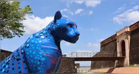 Após as exibições, o público poderá participar de um debate sobre as temáticas abordadas nas produções, expandindo a experiência cultural e crítica dos espectadores.