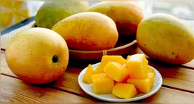 Nutricionistas explicam se quem tem diabetes pode comer manga. Confira todos os detalhes!