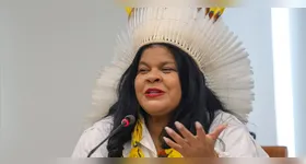 Ministra dos Povos Indígenas, Sônia Guajajara é internada em UTI após quadro infeccioso.