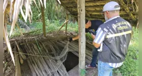 Operações de fiscalização resgatam trabalhadores em condições degradantes no Brasil; somente em 2026, já são 271 vítimas retiradas de situações análogas à escravidão.