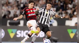 Botafogo de Futebol e Regatas e Clube de Regatas do Flamengo se enfrentam às 17h30 (de Brasília), no Estádio Nilton Santos.