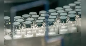 A produção será uma parceria do instituto brasileiro com a farmacêutica norte-americana MSD.