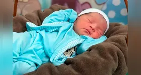 Recém-nascido participa de ensaio fotográfico temático no Hospital Regional em Abaetetuba; ação foca no bem-estar emocional.