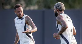 O Santos retorna aos gramados será nesta quinta-feira (2), às 19h (de Brasília), contra o Remo, na Vila Belmiro, pela 9ª rodada do Campeonato Brasileiro.