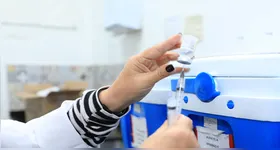 A vacinação inicia na próxima segunda-feira (26), a partir das 10h e segue até as 17h em dois novos postos de vacinação nos shoppings Bosque Grão-Pará, no bairro do Bengui, e Pátio Belém, no bairro de Batista Campos.