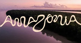 Identidade visual inspirada nas curvas dos rios amazônicos unifica a comunicação dos nove estados da região.