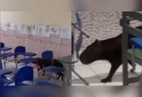A capivara é um mamífero roedor de grande porte, considerada a maior espécie de roedor do mundo
