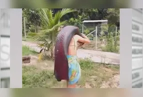 O pirarucu (Arapaima gigas) está entre os maiores peixes de água doce do planeta, podendo atingir até três metros de comprimento e pesar cerca de 200 quilos.