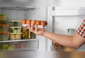 A temperatura ideal de uma geladeira deve ficar abaixo de 5 °C para garantir a conservação adequada dos alimentos.