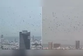 O efeito, visto de baixo, é de fato impressionante, especialmente sobre um horizonte conhecido apenas por arranha-céus.