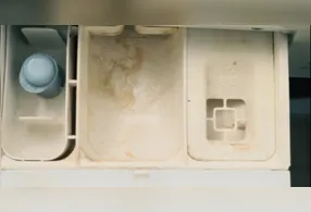 No verão, a umidade do ar costuma ser mais alta, criando condições ideais para a proliferação desses organismos.