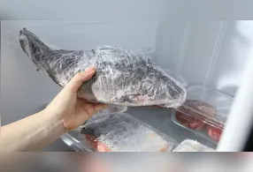 Imagem ilustrativa da notícia Saiba como descongelar e conservar peixe corretamente