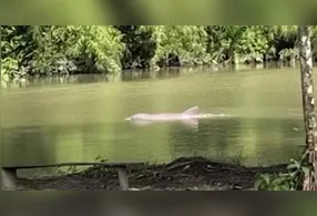 O caso repercutiu nas redes sociais e gerou comentários de pessoas que afirmam já ter vivido situações semelhantes.