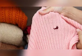 Especialistas explicam hábitos dos insetos e formas de prevenir danos