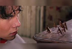 O Manejo Integrado de Pragas (MIP) não depende apenas de produtos químicos. A estratégia reúne práticas que transformam o ambiente em um local hostil à sobrevivência desses insetos.