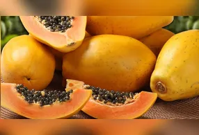 A presença de antioxidantes protege as células dos danos causados pelos radicais livres e ajuda a prevenir doenças degenerativas.