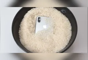 Arroz de celular? A dica não é recomendada assim