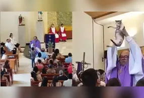 O gato também foi erguido e apresentado para os fiéis ao fim da missa.