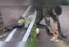 O vídeo do salvamento viralizou nas redes sociais, emocionando internautas.