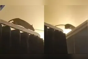 Apesar do susto, a companhia aérea buscou minimizar o impacto do episódio.