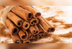 Esse tipo de banho é adotado por pessoas que buscam momentos de equilíbrio emocional