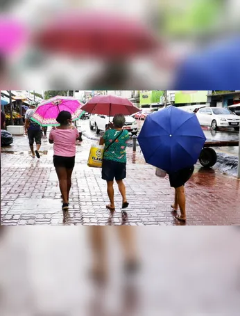 Há 95% de probabilidade de chuva, com volume estimado de 4,1 milímetros ao longo do dia.