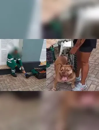 O caso foi registrado na Seccional de São Brás como omissão na guarda de animal perigoso.