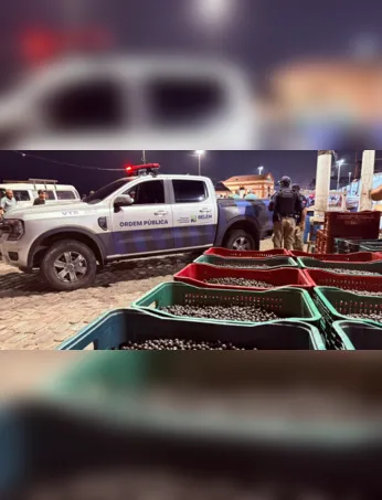 O objetivo da operação foi apurar possíveis irregularidades no descarte do fruto