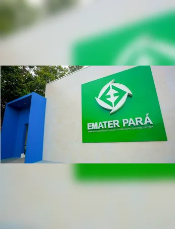 Empresa de Assistência Técnica e Extensão Rural do Estado do Pará está com vagas abertas em vários municípios. Confira!