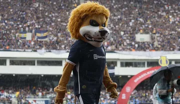 Imagem ilustrativa da imagem Remo apresenta proposta de orçamento de R$ 220 milhões para 2026