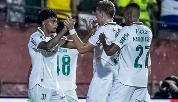 Imagem ilustrativa da imagem Palmeiras vence Portuguesa em estreia no Paulistão 2026