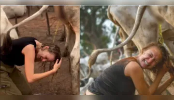 Imagem ilustrativa da imagem Influenciadora lava cabelo com urina de vaca e divide opiniões