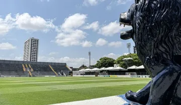 Imagem ilustrativa da imagem Remo: Baenão terá tecnologia de impedimento semiautomático