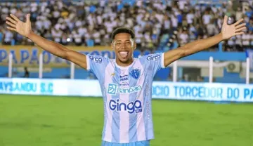 Imagem ilustrativa da imagem Maurício Garcez retorna ao Avaí após destaque no Paysandu