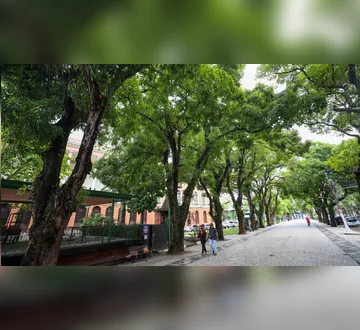 Imagem ilustrativa da imagem Passeio cultural transforma Belém em museu a céu aberto; veja como participar