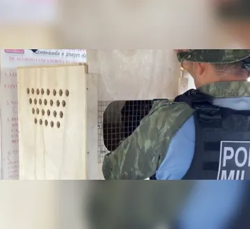 Imagem ilustrativa da imagem Fiscalização resgata 140 animais silvestres no Pará