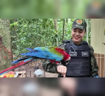 Imagem ilustrativa da imagem Encontrou animais silvestres em áreas urbanas? Saiba como agir!