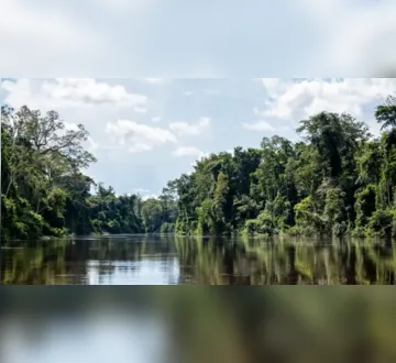 Imagem ilustrativa da imagem Governadora Hana sanciona Dia Estadual das Unidades de Conservação