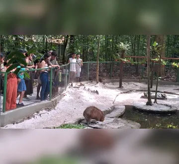 Imagem ilustrativa da imagem Bosque Rodrigues Alves terá entrada gratuita neste fim de semana