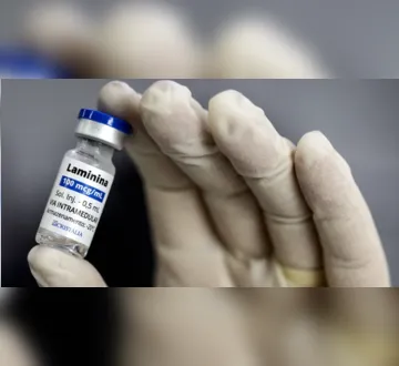 Imagem ilustrativa da imagem Polilaminina ainda não é remédio: especialistas fazem alerta