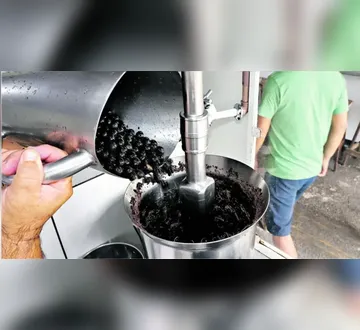 Imagem ilustrativa da imagem Saiba como identificar pontos de açaí licenciados em Belém e Ananindeua