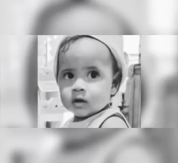 Imagem ilustrativa da imagem Criança de 2 anos morre após ataque de abelhas em São Miguel do Guamá