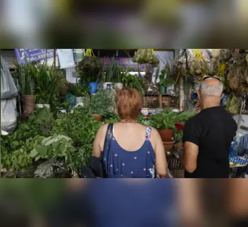 Imagem ilustrativa da imagem <span style="white-space: initial;">Não é só em Belém! Banhos de ervas aumentam procura no RJ</span>