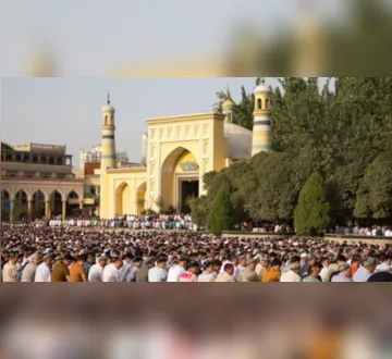 Imagem ilustrativa da imagem Pikas entram em risco de extinção e preocupa cientistas chineses