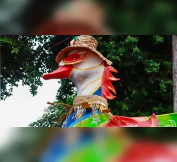 Imagem ilustrativa da imagem Bloco Pato de Máscara celebra centenário da Vila da Barca em Belém