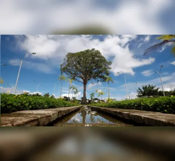Imagem ilustrativa da imagem Pará vai ganhar nova escola com ênfase em educação ambiental