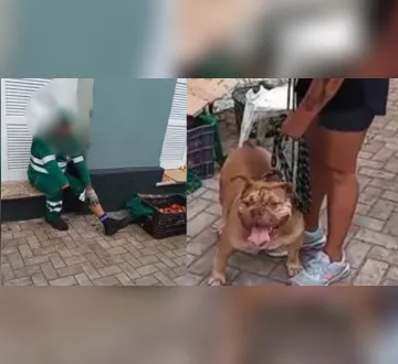 Imagem ilustrativa da imagem Pitbull ataca e morde gari no Ver-o-Peso, em Belém